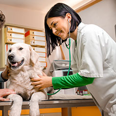 Female Veterinarian